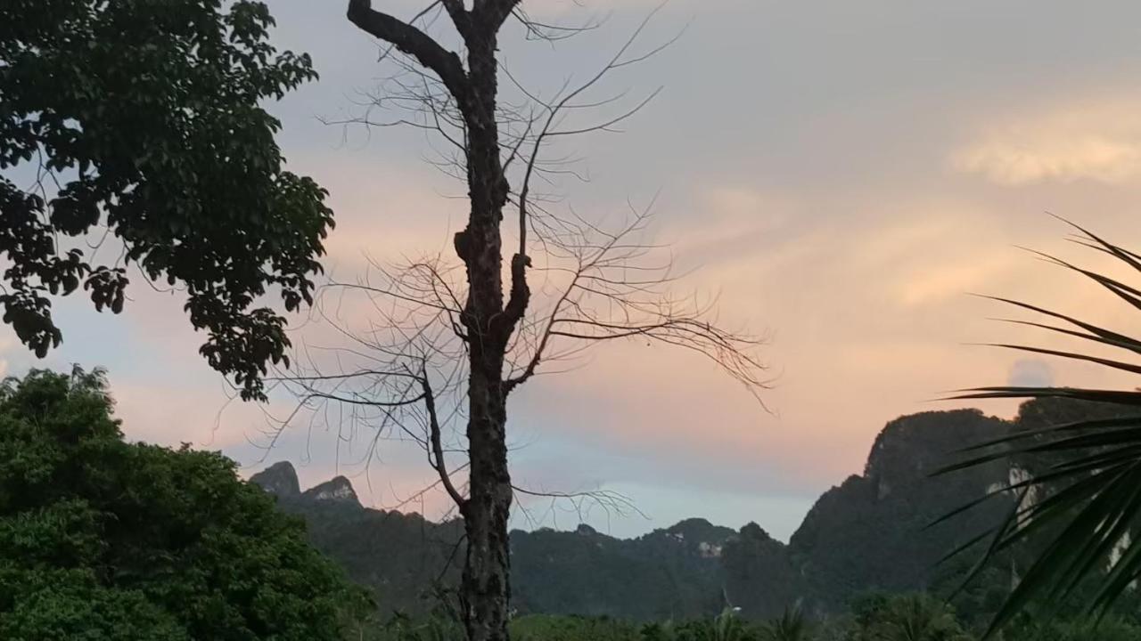 Phu Siab Mhok@Khaosok Hotel Khao Sok National Park Exterior photo